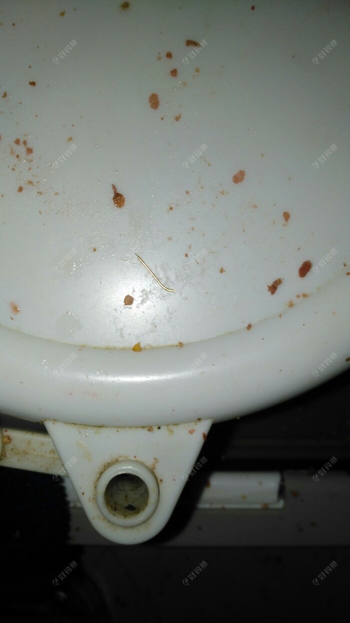 试钓飞磕钓线让我断钩不断线