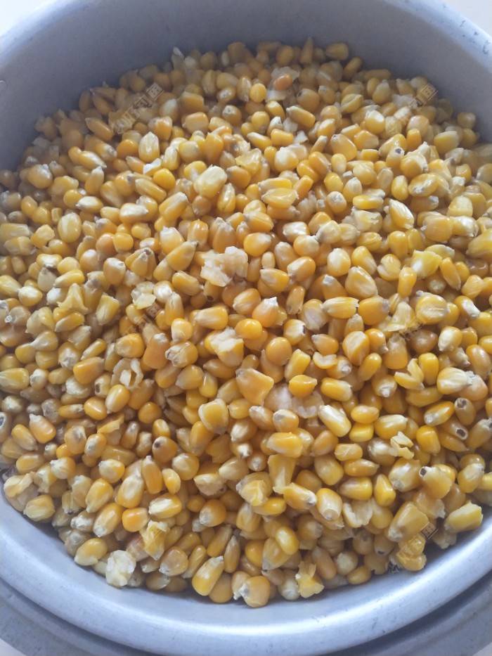 请问发酵玉米发酵几天就发酵好了